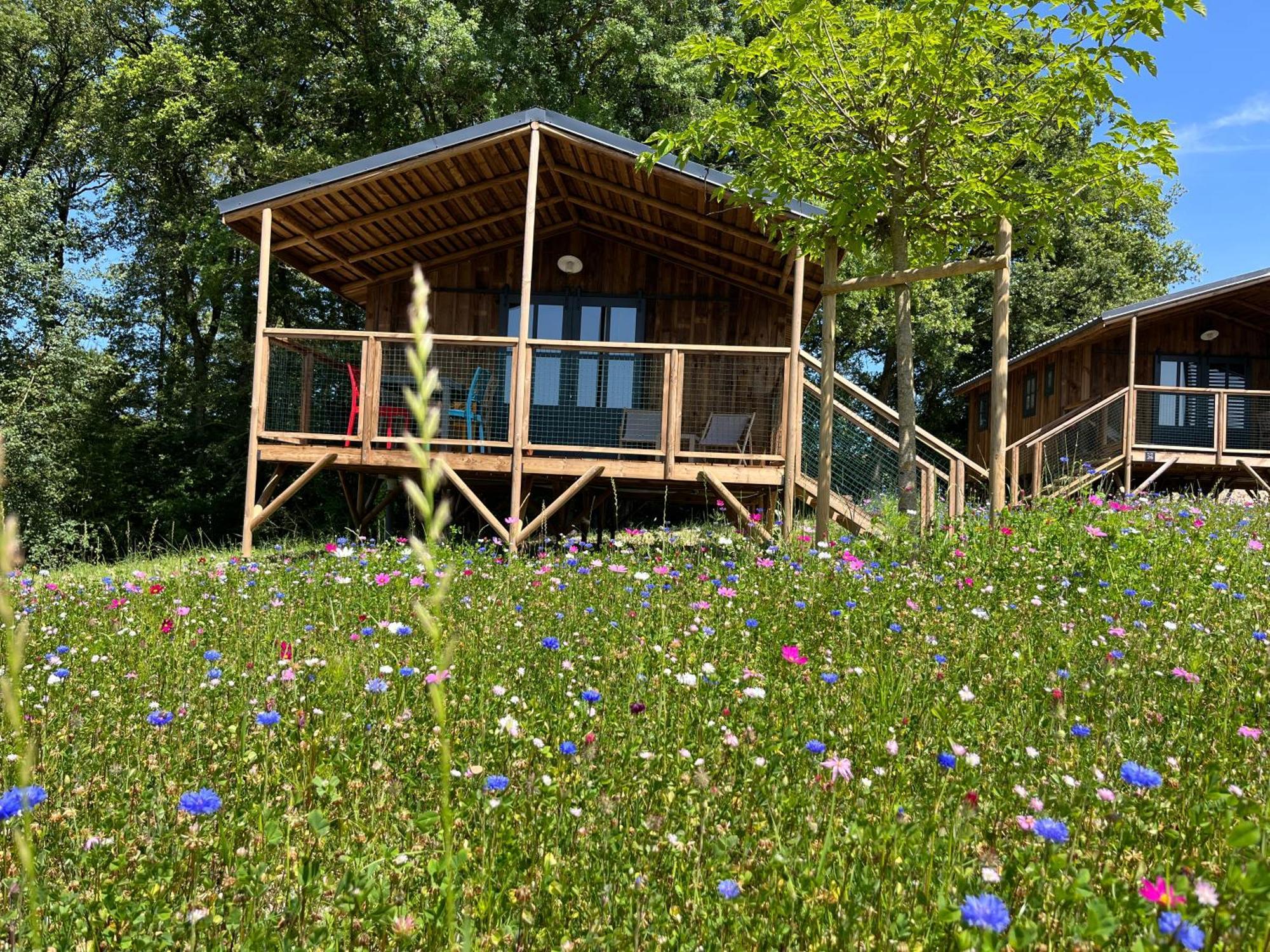La Buissonniere Lodges Chisseaux Eksteriør bilde